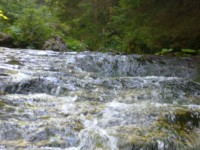 /album/fotogaleria-uvod1/a17072011441-kopie-jpg/